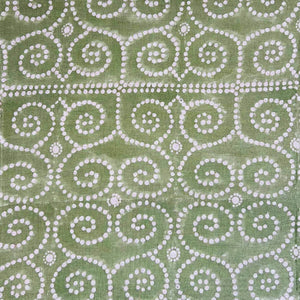 Anushka Light Green Fabric