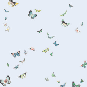 Butterflies Light Blue Wallpaper