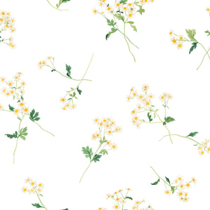 Feverfew White Wallpaper