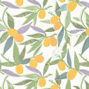 Kumquats (Large) Sunrise Wallpaper