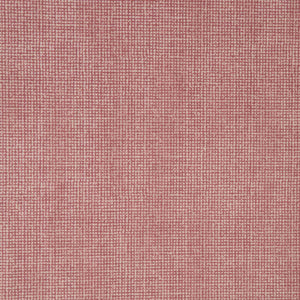 Pia Berry/Rosewater Velvet Fabric