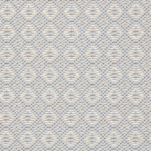 Savina Lt Blue Rug