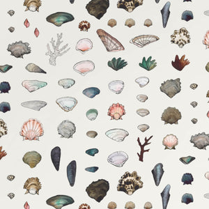 Shellz Foam Wallpaper