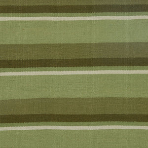 Silk Stripe Dhurrie Moss Rug