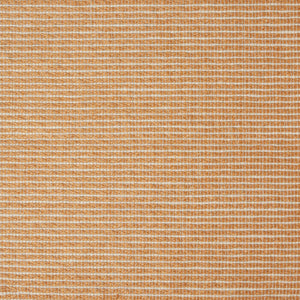 Sinabe Solid Guava Rug