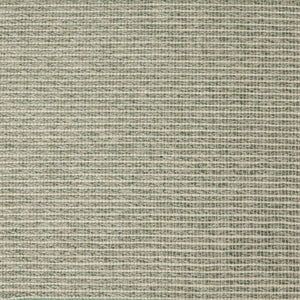 Sinabe Solid Moss Rug