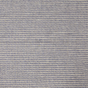 Sinabe Solid Powder Blue Rug