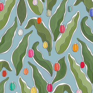 Tulip Festival Blue Wallpaper