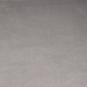 Vera Grigio Velvet Fabric