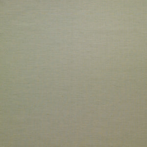 Woven Plain Duck Egg Fabric