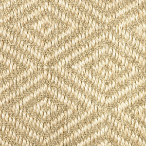 Bakari Canvas Rug