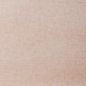 Natasha's Canvas Terracotta Cactus Leather Fabric