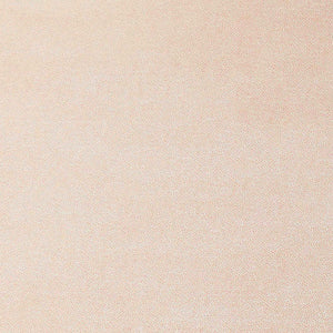 Pebbled Terracotta Cactus Leather Fabric