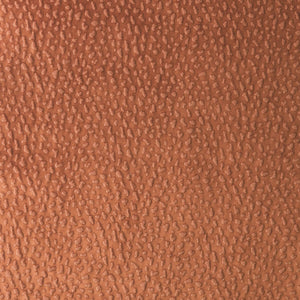 Risheh Burnished Velvet Fabric