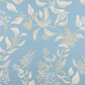 Snowbrush Ciel Wallpaper