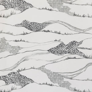 Toile De Terrain Graphite Paper Backed Linen Wallpaper