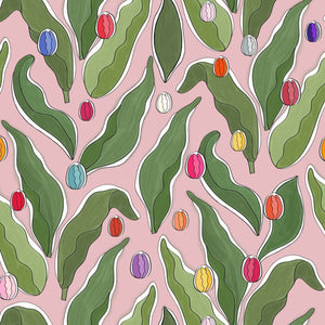 Tulip Festival Pink Wallpaper