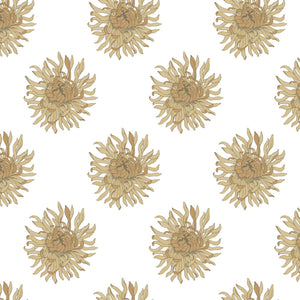 Anthemum Amadeus Wallpaper