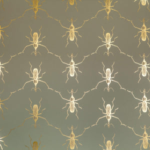 Buggie Flashy Cadet Wallpaper