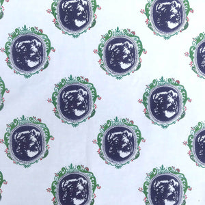 Capsi Fabric