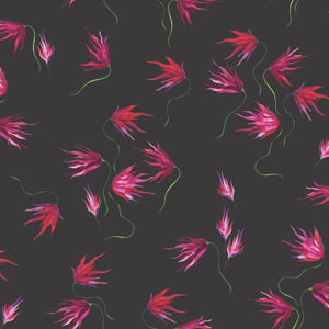 Eden Night Wallpaper