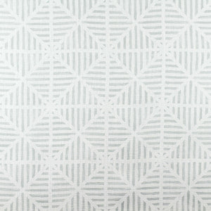 Envelope Stripe Rainwashed Fabric