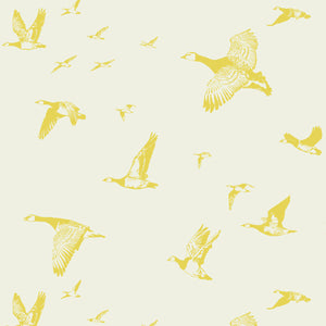 Flock In Flight Pale Sun Wallpaper