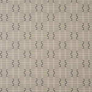 Framework Graphite Fabric