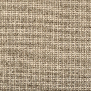Indra Fossil Rug