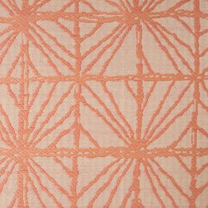 Isabellina Coral Outdoor Fabric