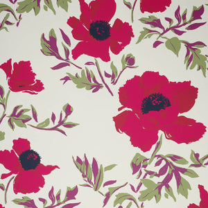 Matilija Bloom Wallpaper