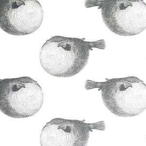Mr. Blow Great White Wallpaper
