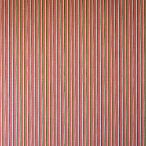 Painted Stripe Circus Fabric