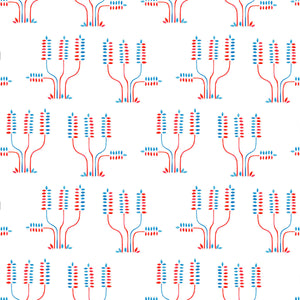 Topanga Red & Blue on White Wallpaper