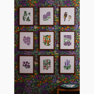 American Persimmon Midnight Wallpaper