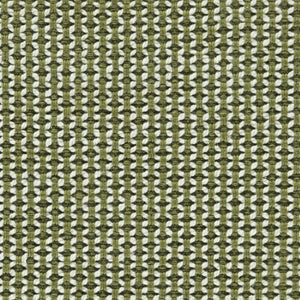 Boca Fern Green Rug