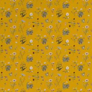 Botanical Marigold Wallpaper