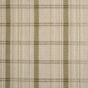 Breckenridge Aloe Rug