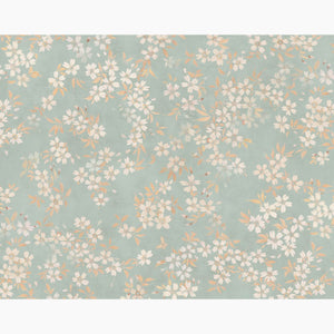 Cherry Blossom Sky Wallpaper