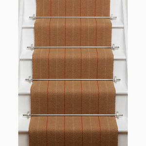 Dart Ground Persimmon Rug