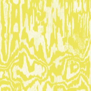 Desi Twist Wallpaper