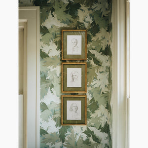 Foliage Fern Wallpaper