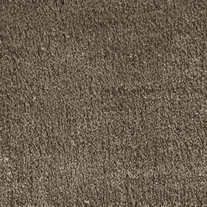 Galaxy Taupe Rug