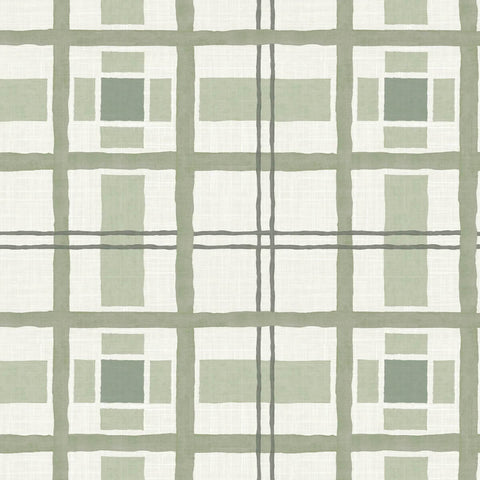 Hannah's Plaid Mineral Fabric