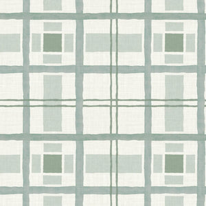 Hannah's Plaid Rainwashed Fabric
