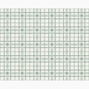 Hannah's Plaid Rainwashed Fabric