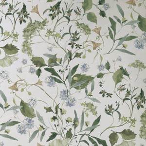 Herbarium Fern Wallpaper