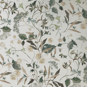 Herbarium Sage Wallpaper