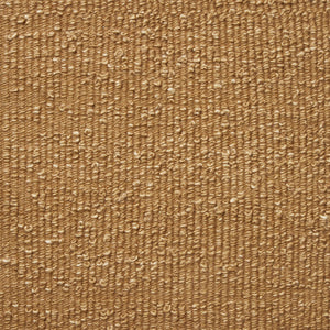 Hidden Beach Snail Rug