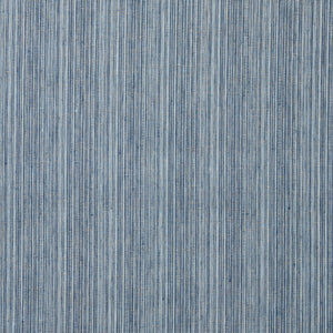 Hugo Strié Indigo Fabric